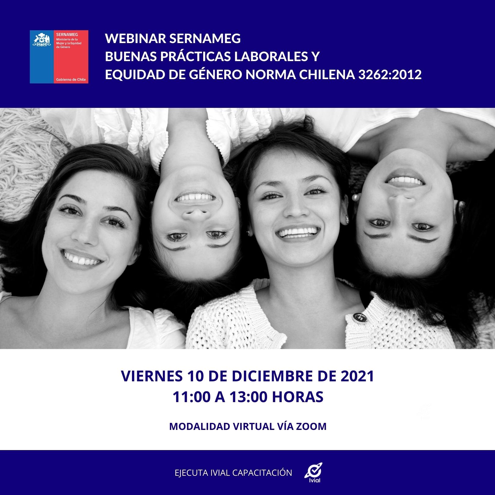 WEBINAR SERNAMEG (Nivel Nacional): Buenas Prácticas Laborales y Equidad de Género Norma Chilena 3262:2012