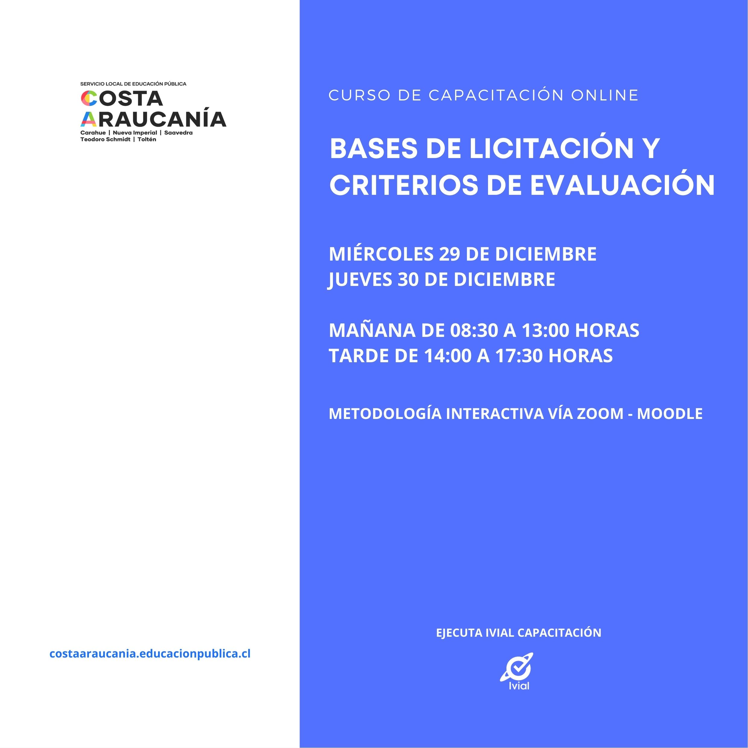 SERVICIO LOCAL DE EDUCACIÓN COSTA ARAUCANÍA: Elaboración de Bases y Criterios de Evaluación