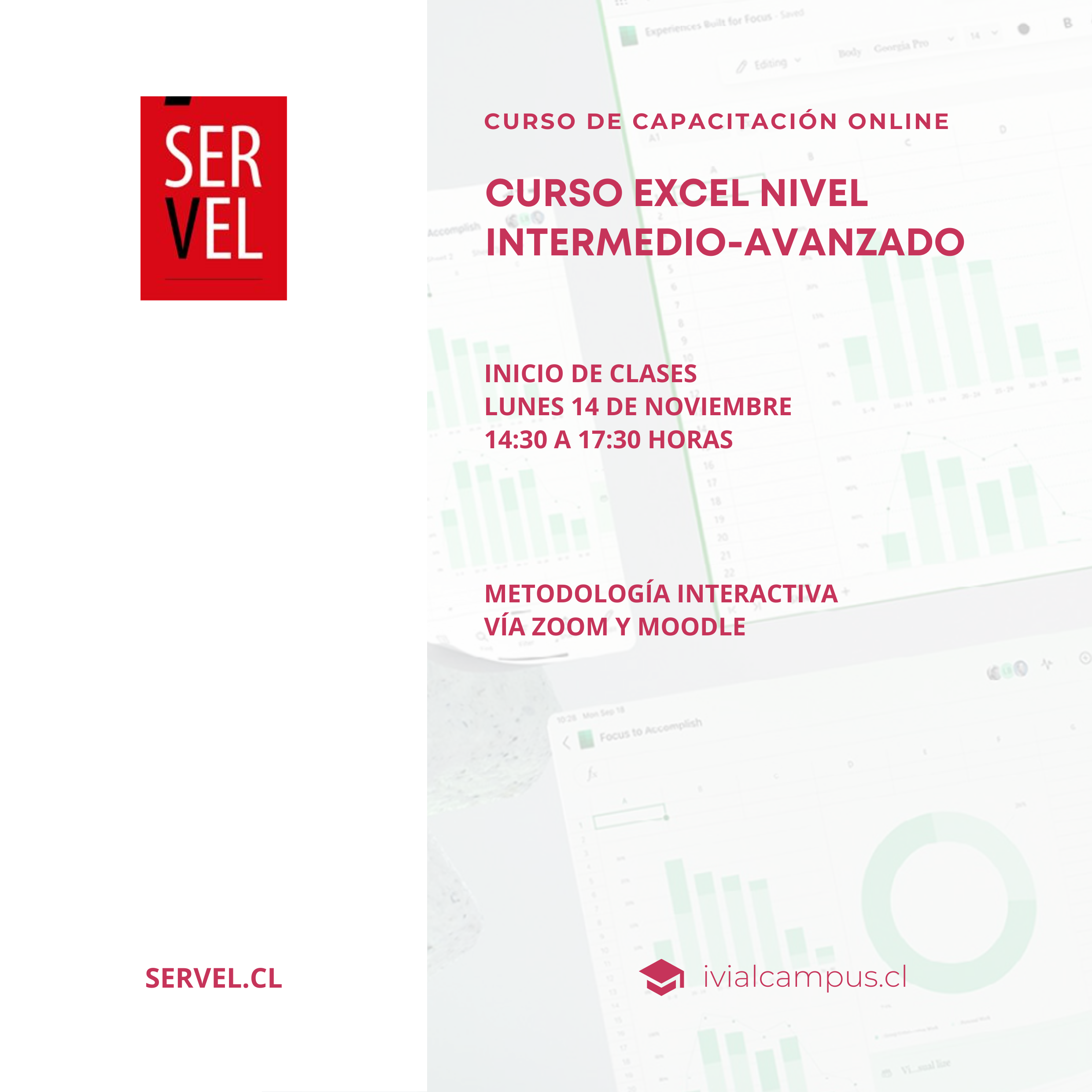 SERVICIO ELECTORAL DE CHILE (Nivel Nacional): Curso Excel Intermedio-Avanzado