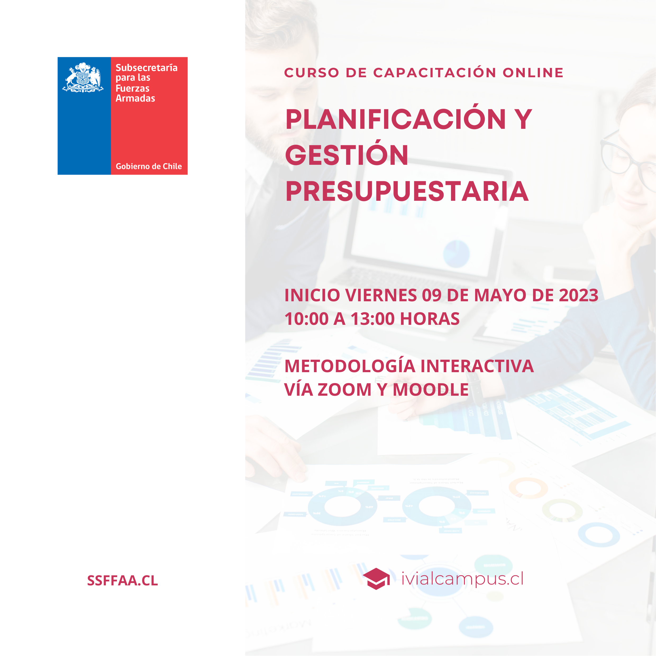 SUBSECRETARÍA PARA LAS FUERZAS ARMADAS DE CHILE: Planificación y Gestión Presupuestaria