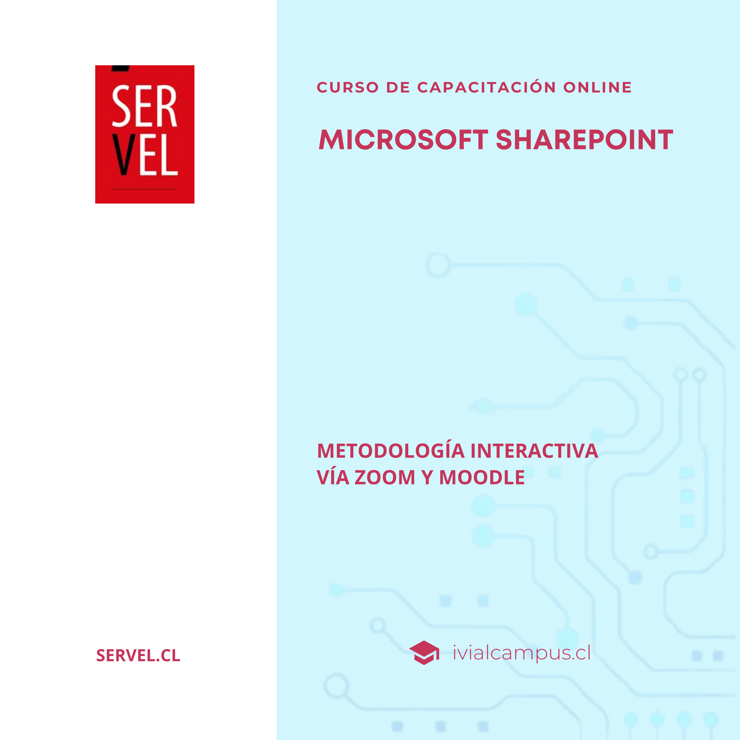 SERVICIO ELECTORAL DE CHILE (Nivel Nacional): Microsoft SharePoint