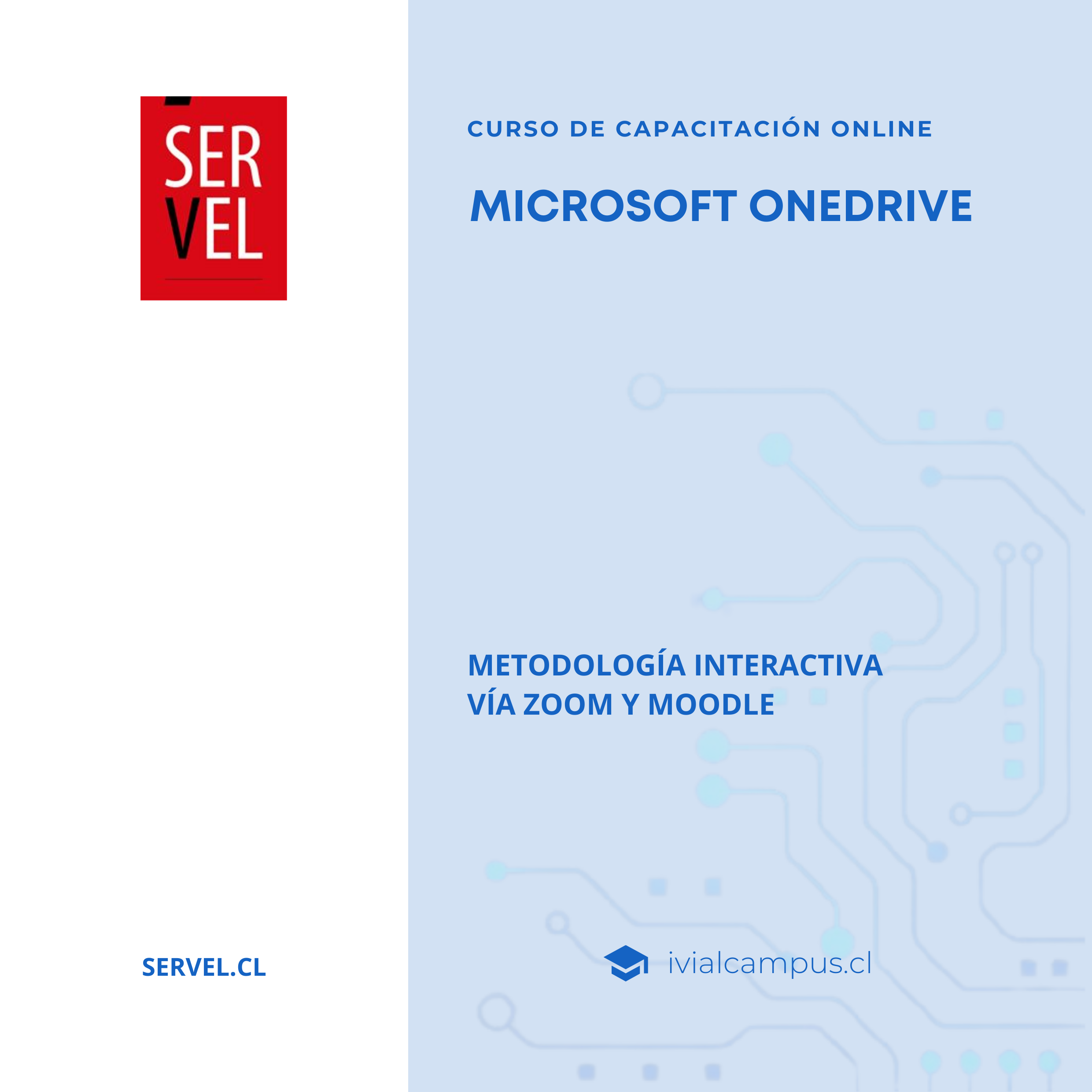SERVICIO ELECTORAL DE CHILE (Nivel Nacional): Microsoft OneDrive
