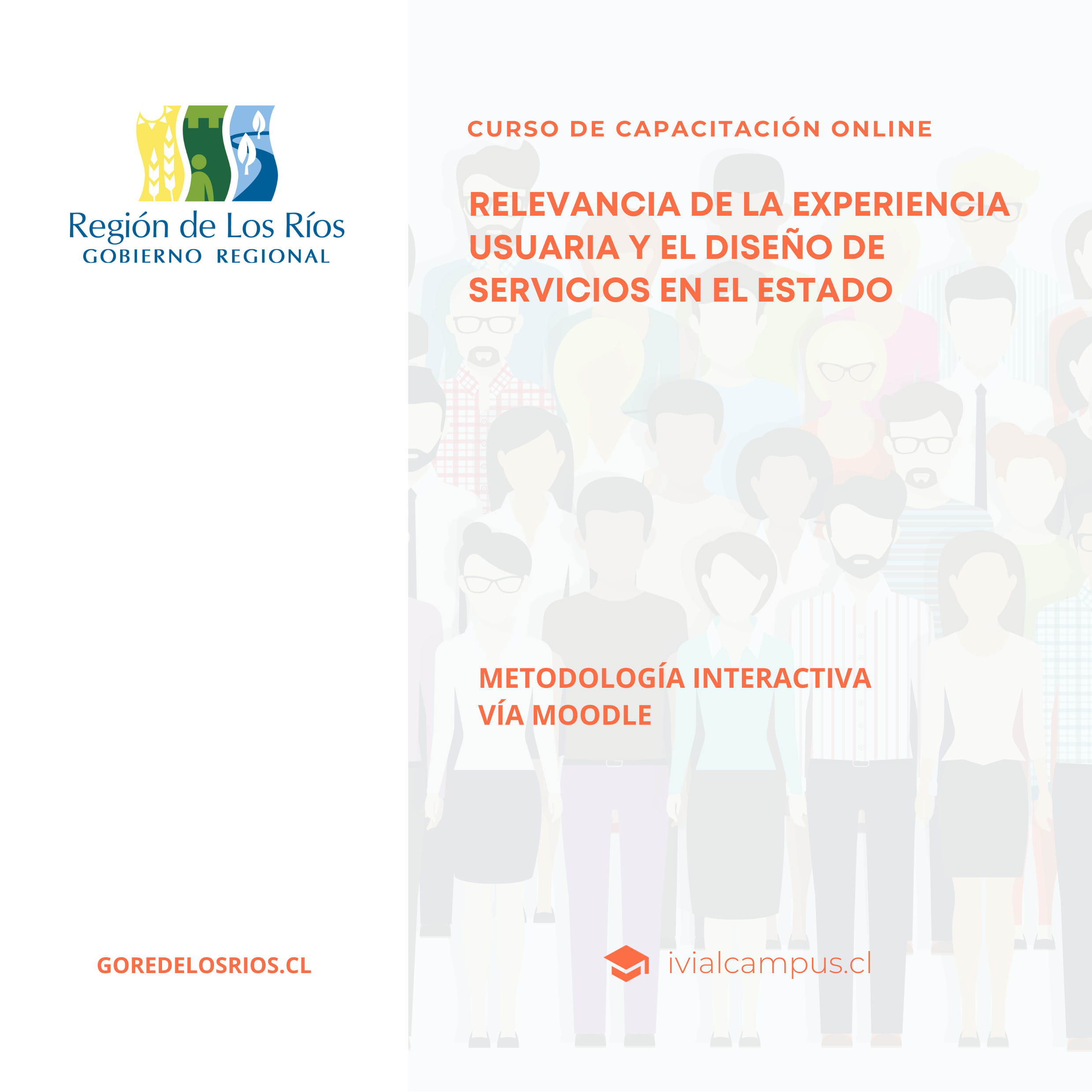 GOBIERNO REGIONAL DE LOS RÍOS: Relevancia de la experiencia usuaria y el diseño de servicios en el estado